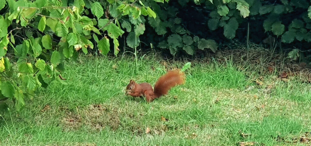 Wir wohnen auch hier.